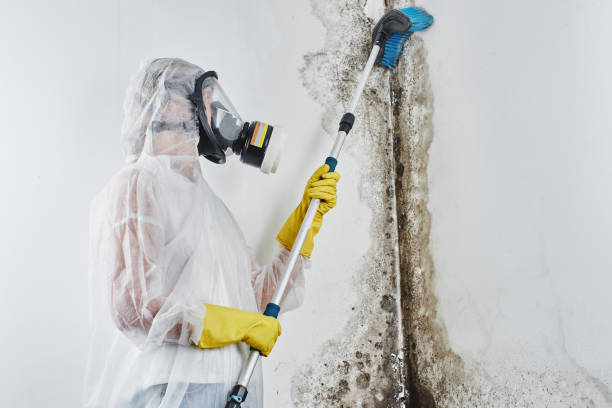 Best Residential Mold Inspection & Testing  in John Day, OR